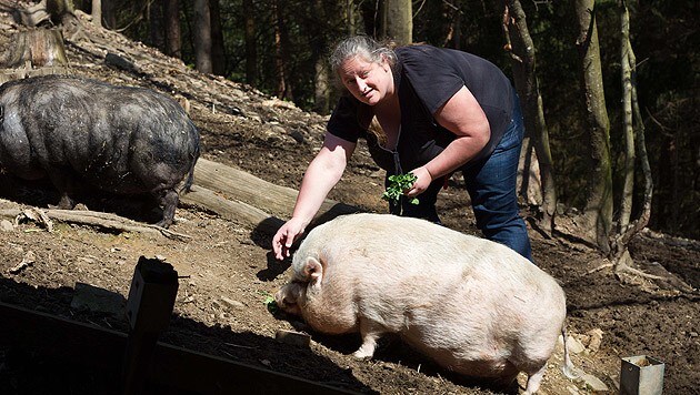 Conny Ebert kümmert sich um Schweinedame "Mitzi". (Bild: Marion Puschitz/Tiko)