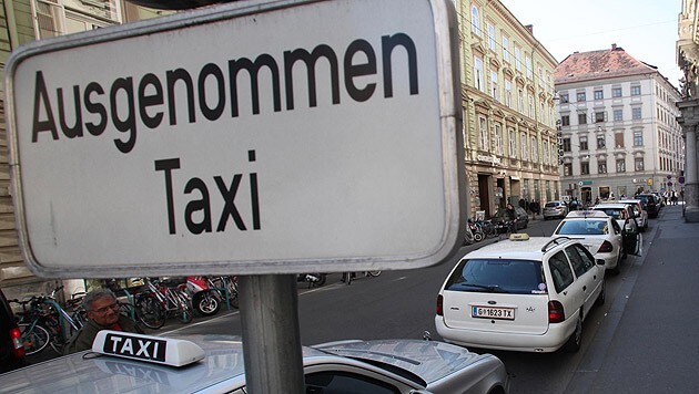 Taxis müssen Hunde nicht transportieren, viele tun es aber. (Bild: Jürgen Radspieler)