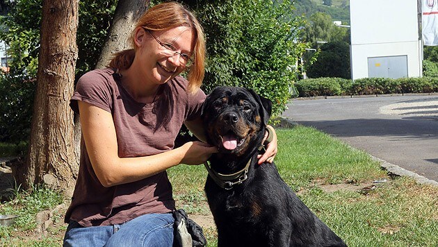 Im Linzer Tierheim kümmert sich Simone um den Rottweiler, der Schlimmes erlebt und mitgemacht hat. (Bild: Chris Koller)