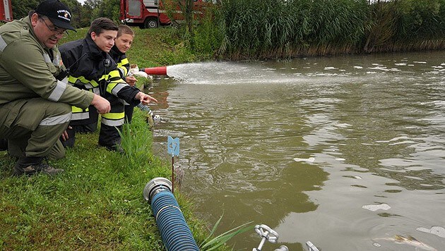 Einsatzkräfte der Feuerwehr versuchen, die Fische in einem Teich in Fehring zu retten. (Bild: APA/LFV/Meier)
