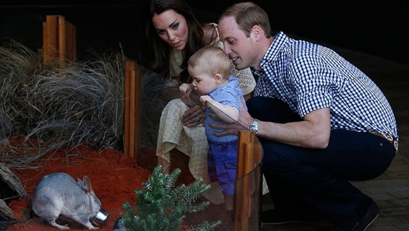 William und Kate mit Baby Prinz George im Taronga Zoo von Sydney, wo er Dilby „George“ traf ... (Bild: AP)