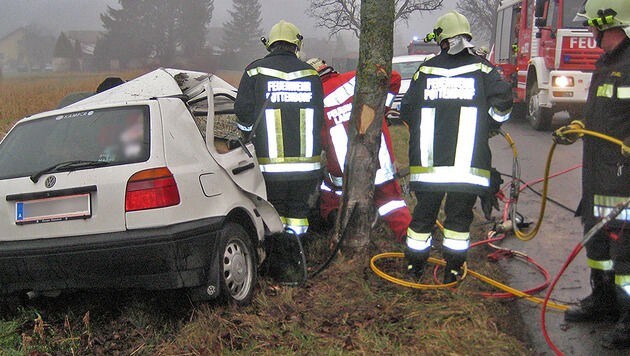 (Bild: Freiwillige Feuerwehr Pottendorf)