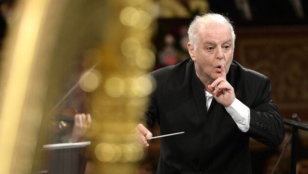 (Bild: APA/HERBERT NEUBAUER)