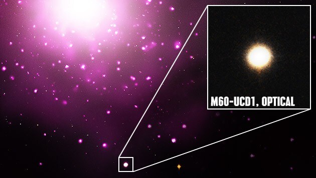 (Bild: NASA/CXC/MSU/J.Strader et al, NASA/STScI, krone.at-Grafik)