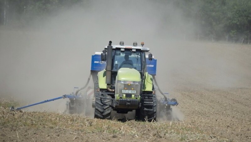 Die zunehmende Nutzung von natürlichen Flächen für die Landwirtschaft drängt die heimischen Arten immer mehr zurück. (Bild: EPA)