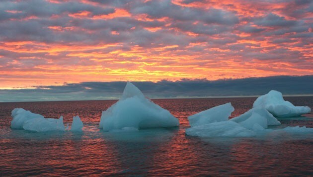 (Bild: AP/Arctic Sounder, Beth Ipsen)