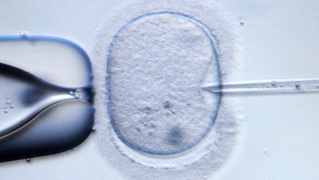 In the US state of Alabama, a court ruled that frozen embryos should be considered children. (Bild: APA/dpa-Zentralbild/Ralf Hirschberger)