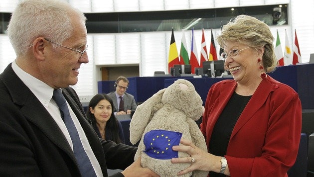 (Bild: Europäische Union 2013)