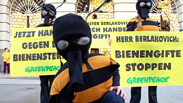 (Bild: APA/Greenpeace/Teresa Novotny)