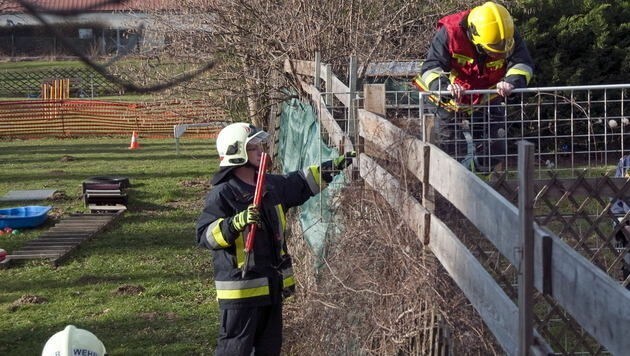 (Bild: M.Bauer Freiwillige Feuerwehr Traiskirchen-Stadt)