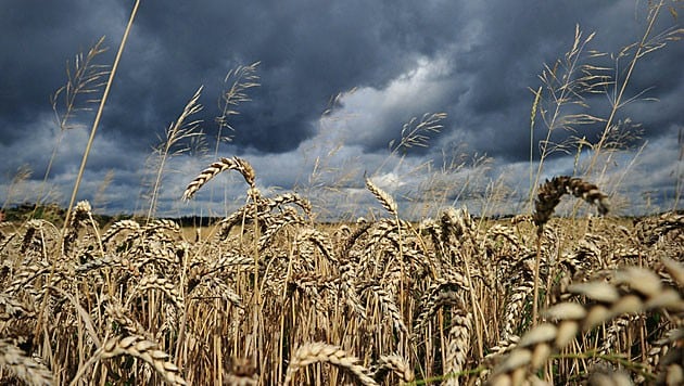 (Bild: EPA)