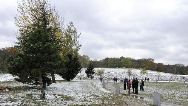 Ein vergangener Winter in Wien (Bild: APA/HERBERT NEUBAUER)