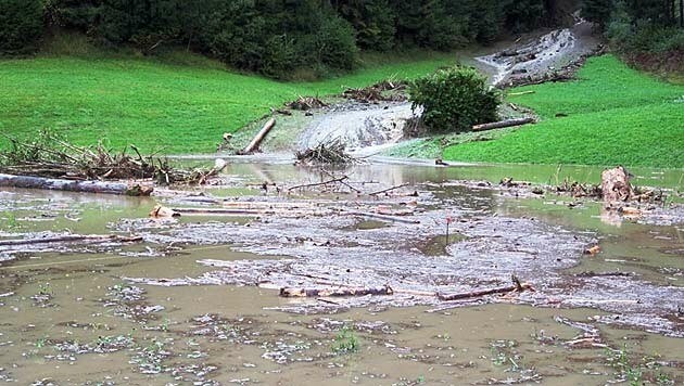 Im vergangenen Sommer wurde Kärnten von Überflutungen geplagt (Bild: APA/BFKDO HERMAGOR)