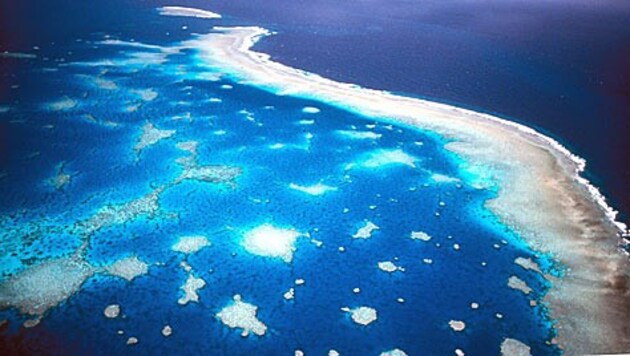 (Bild: dpa/Great Barrier Reef Marine Park)
