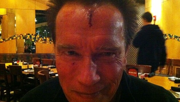 (Bild: Twitter/Arnold Schwarzenegger)