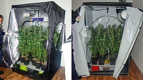 Cannabis Grow Box In Wiener Wohnung Entdeckt Krone At