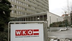 Die Wirtschaftskammer fordert eine Senkung der Lohnnebenkosten.