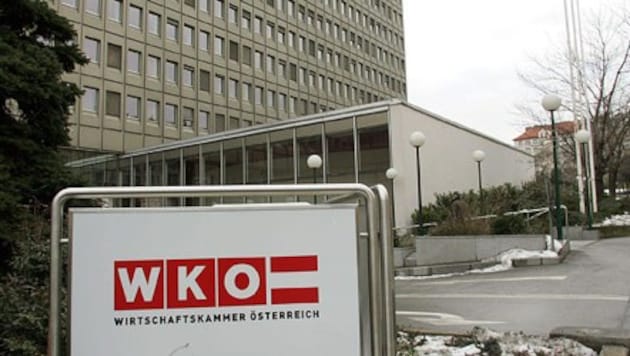 Die Grüne Wirtschaft wirft der ÖVP vor, die Zahlen rund um die Kammerrücklagen zu „verzerren“ ...