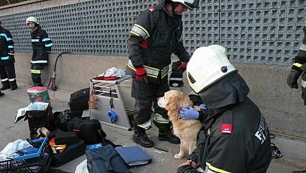(Bild: Freiwillige Feuerwehr Gleisdorf)
