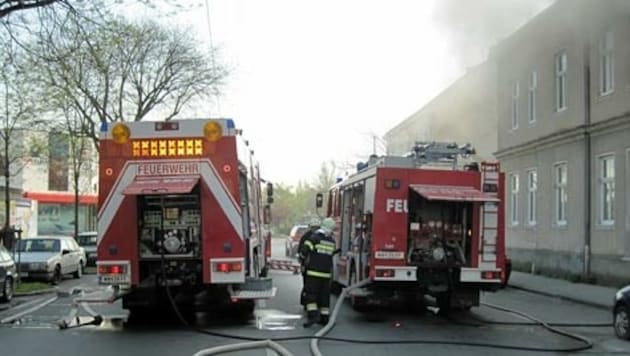 (Bild: Feuerwehr Wiener Neustadt)